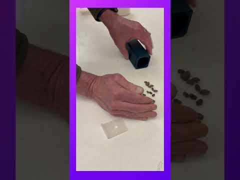 
                  
                    Load and play video in Gallery viewer, 3D Printed Bee Cocoon Hatchery
                  
                