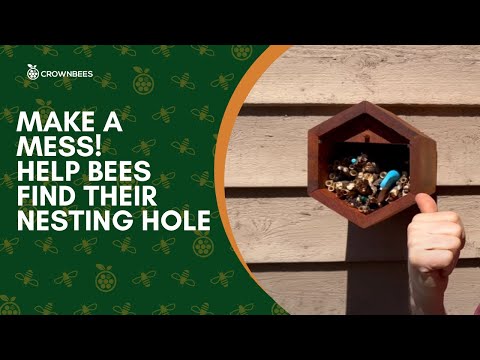 
                  
                    Load and play video in Gallery viewer, Cabana Bee House &amp;amp; Complete Kit with Bee Certificate
                  
                