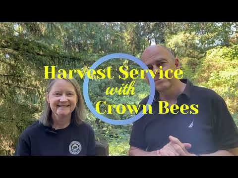 Mason Bee Harvest Service