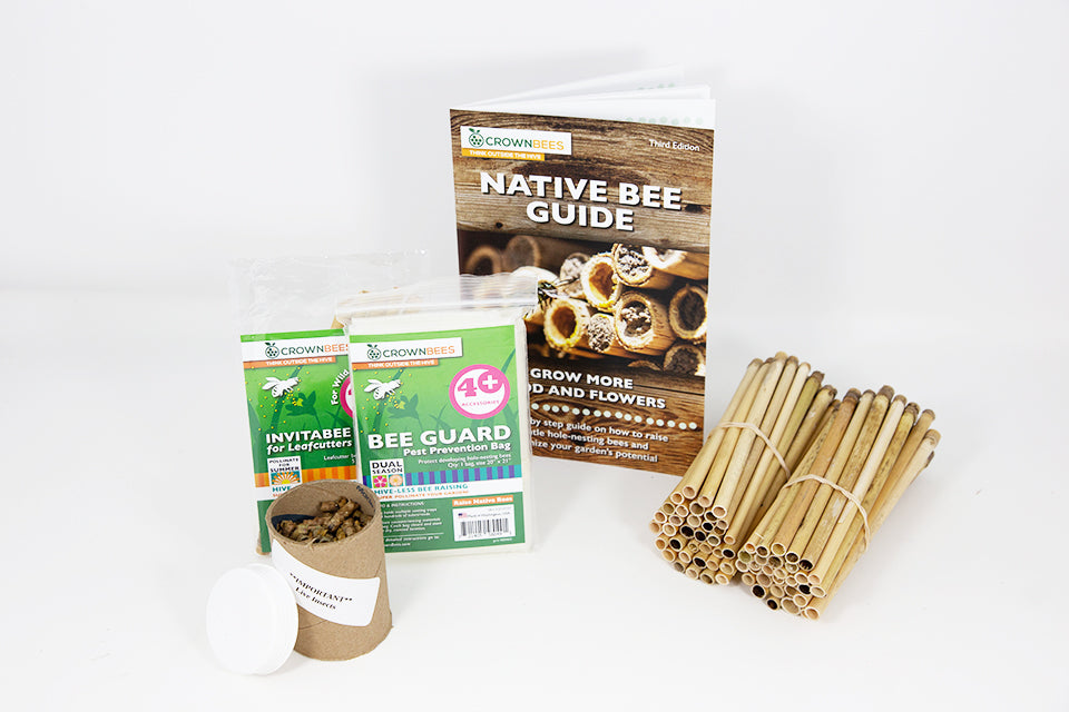 Summer 70 ct Reeds & 200 leafcutter bees