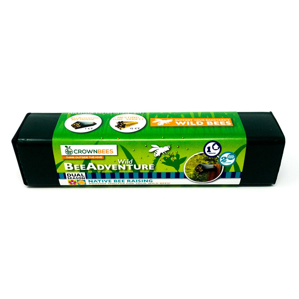 Spring and Summer Wild Bee Adventure