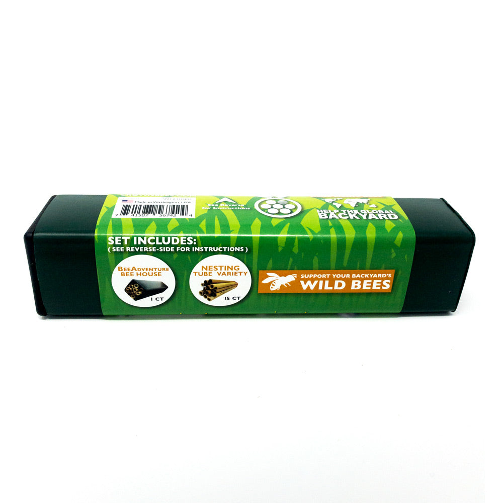 Spring and Summer Wild Bee Adventure