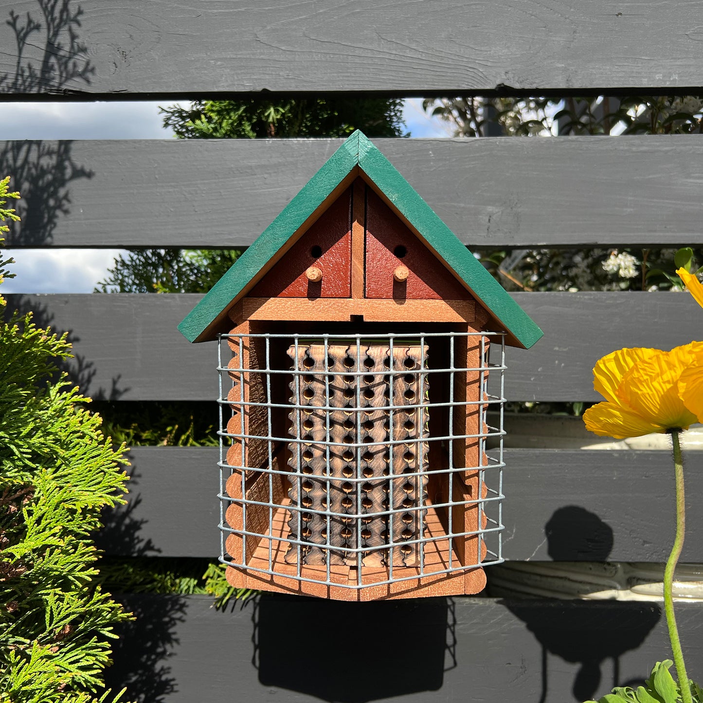 
                  
                    Cabin Bee House-
                  
                