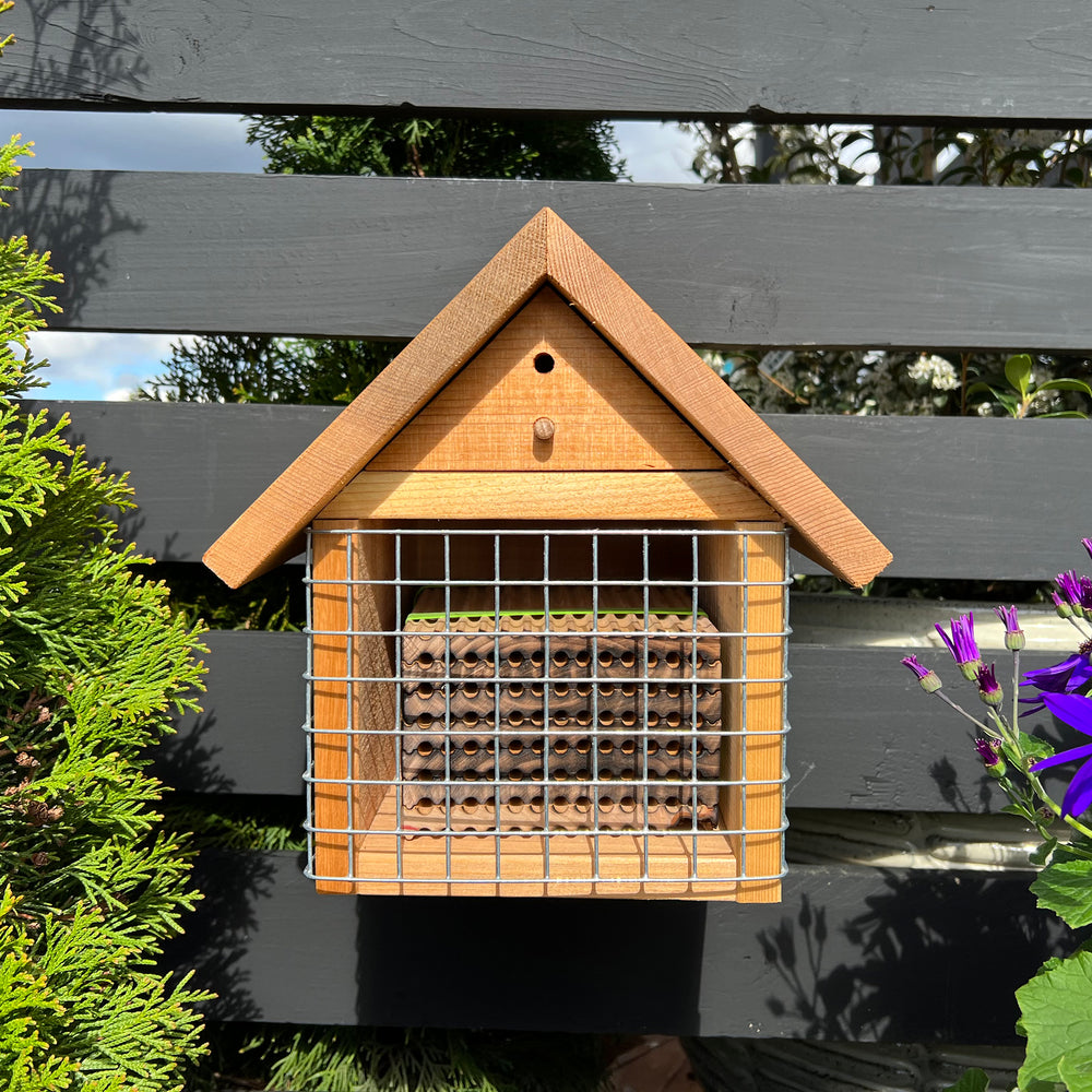 
                  
                    Chalet Bee House
                  
                