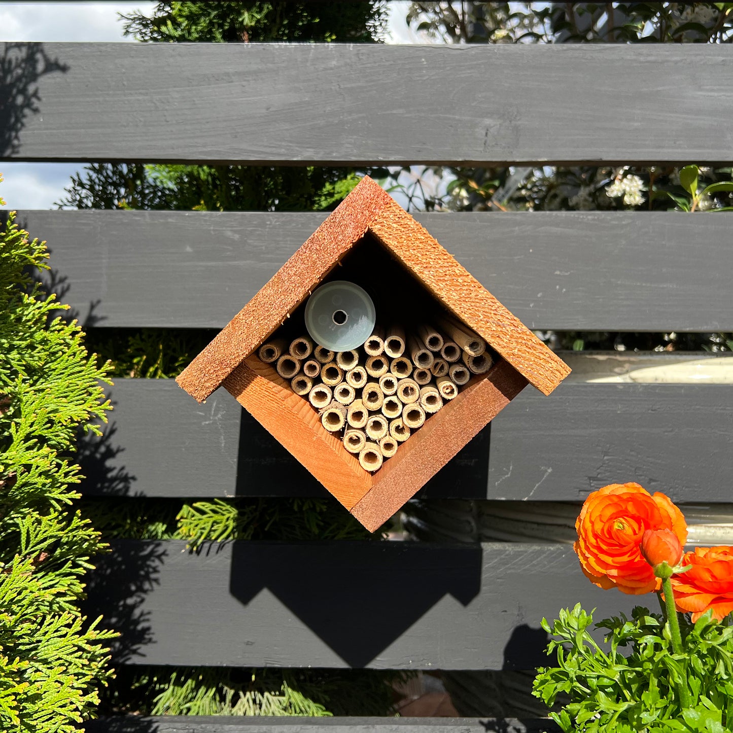 Bee Cocoon Hatchery(TM) - Bee Green Tube