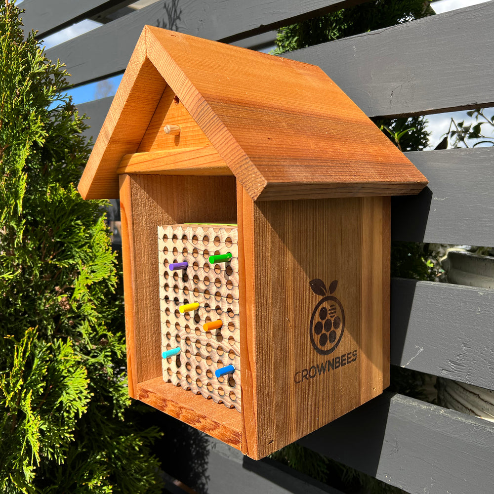Bee Wayfinders - for Leafcutter Bee trays
