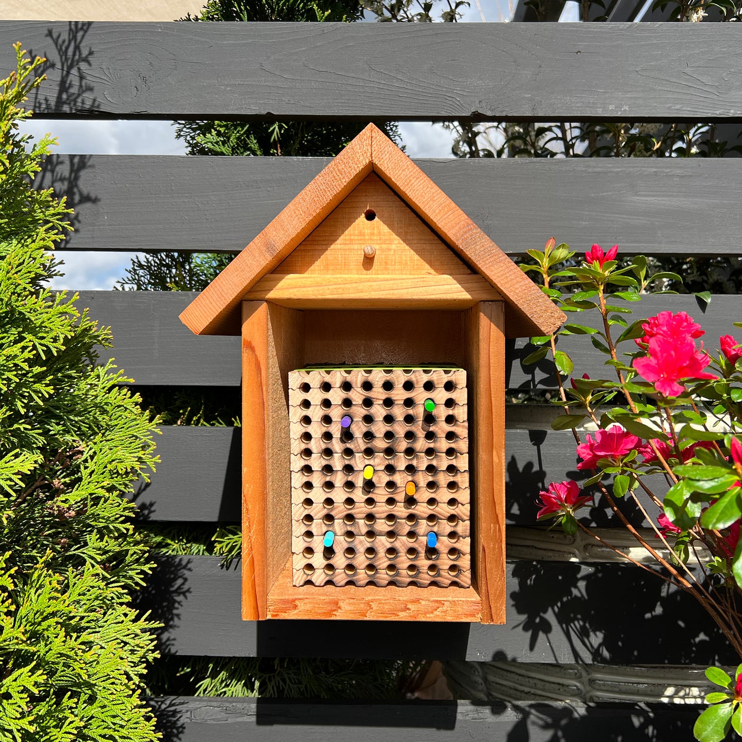 
                  
                    Spring Reusable Wood Trays for Mason Bees -8mm
                  
                